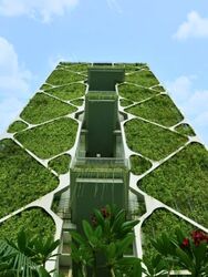 Tree House (D23), Condominium #561643381